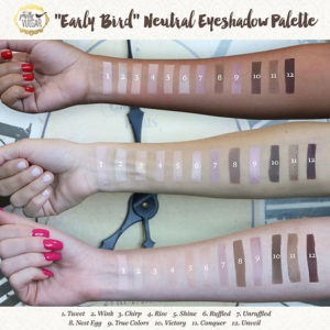 eyeshadow swatches pretty vulgar palette sephora